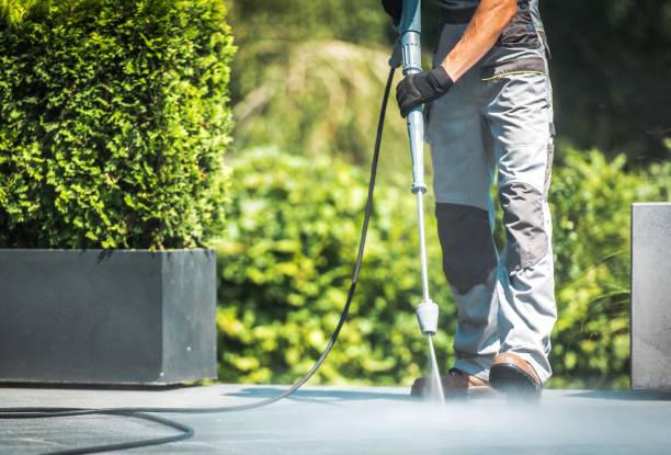 Best Residential Pressure Washing in Red Lake Falls, MN