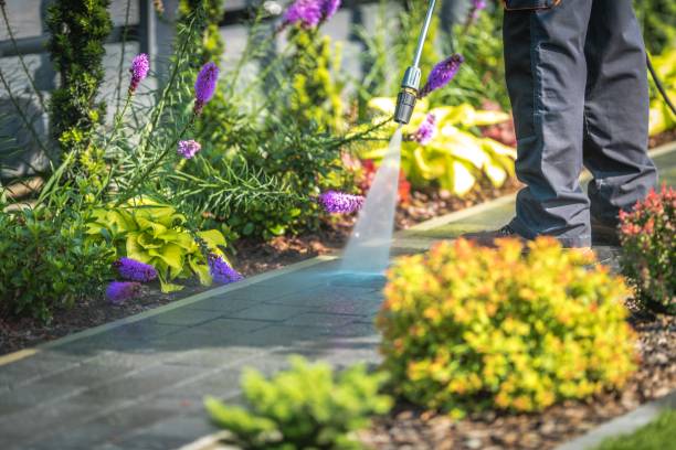 Best Fence Cleaning and Maintenance in Red Lake Falls, MN
