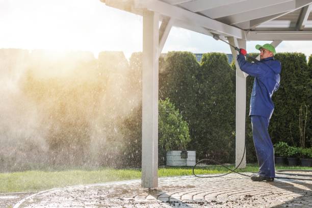 Best Roof Cleaning and Mildew Removal in Red Lake Falls, MN